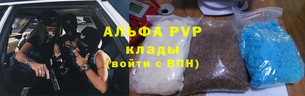 дживик Вязьма