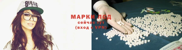 гидра Вязники