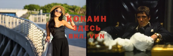 гидра Вязники