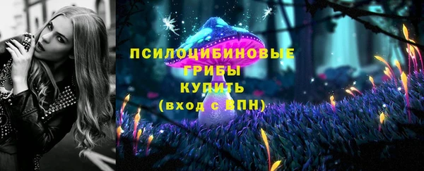 дживик Вязьма