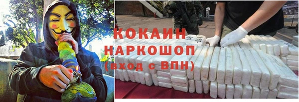 гидра Вязники