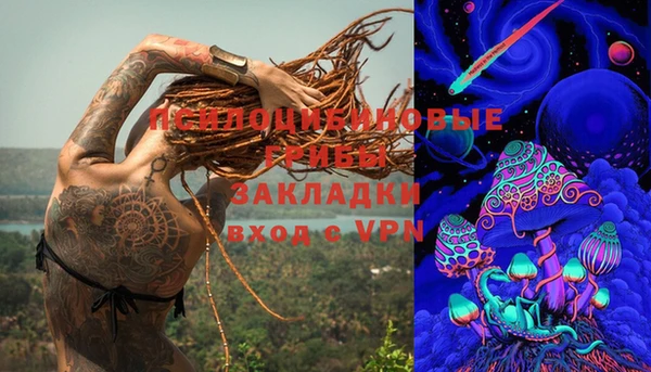 гидра Вязники